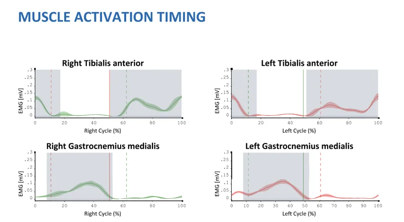 EMG envelopes for tibialis anterior and gastrocnemius medialis, left and right, across the gait cycle, with normal activation zones